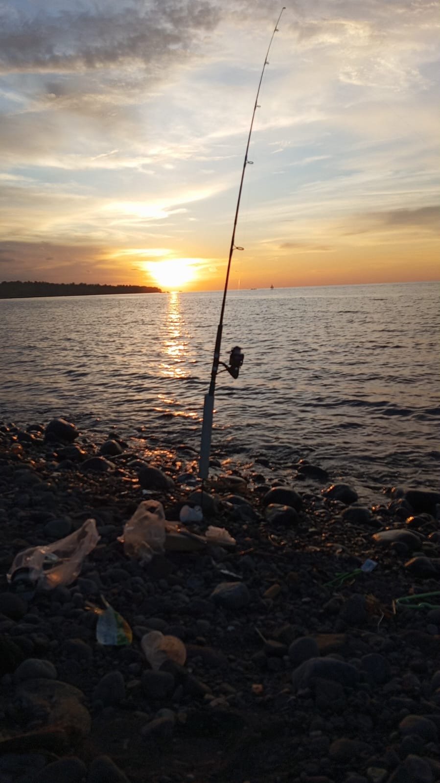 Latest Post